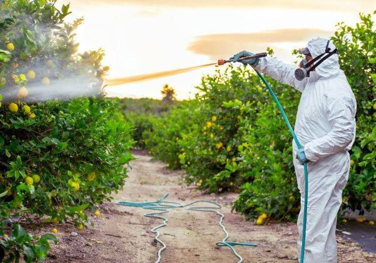 Nowa generacja pestycydów: bezpieczne dla środowiska?